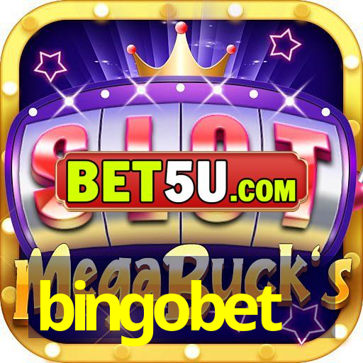 bingobet