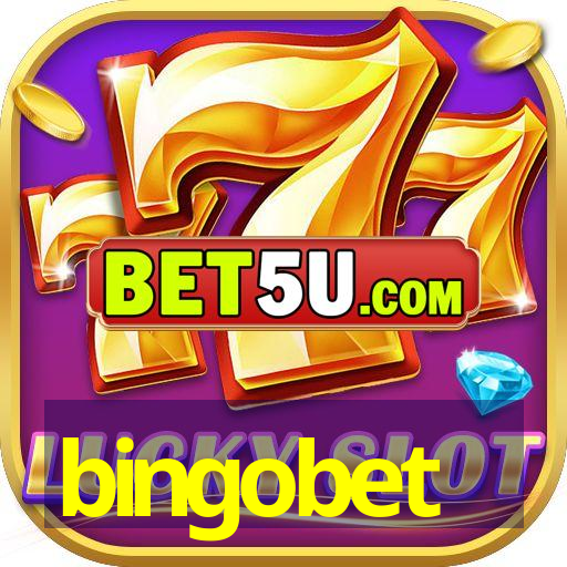 bingobet