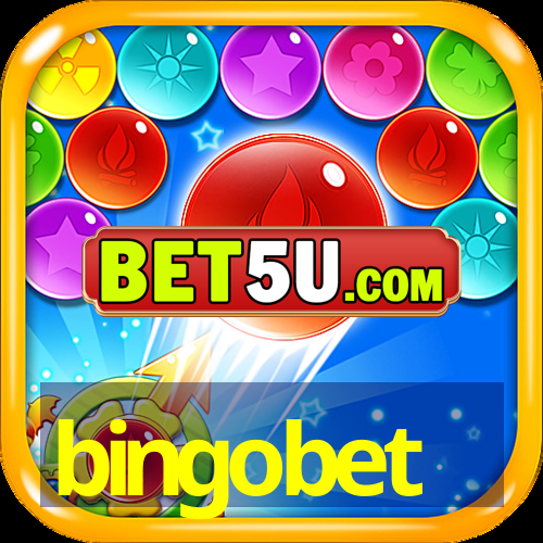 bingobet