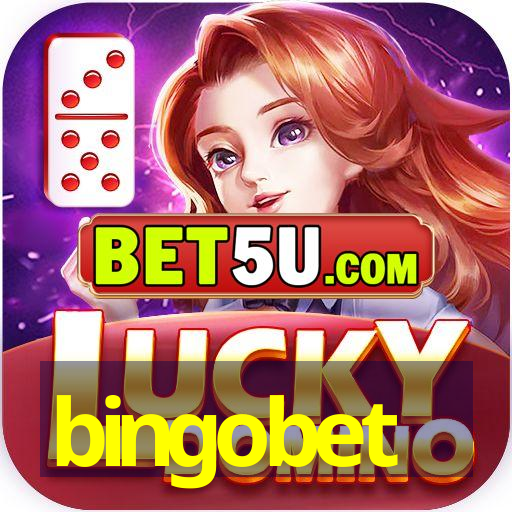 bingobet