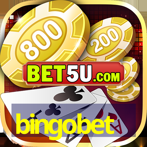 bingobet