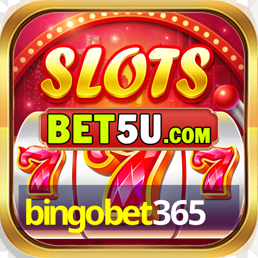 bingobet365