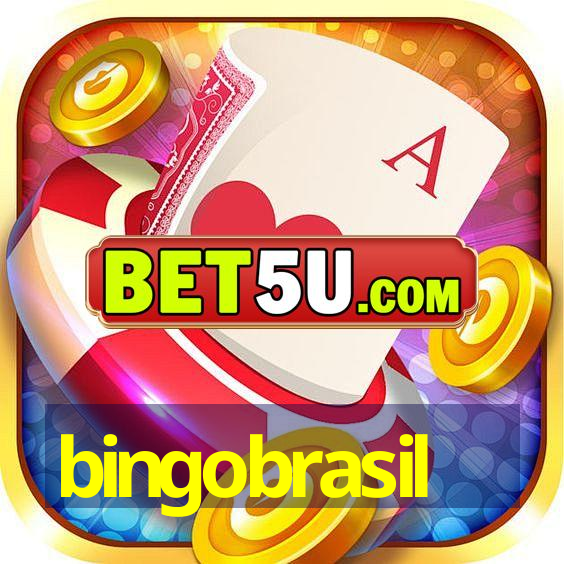 bingobrasil