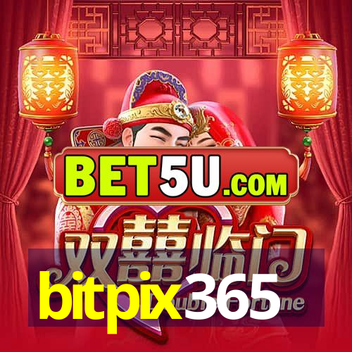 bitpix365