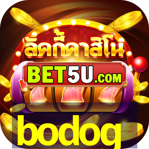 bodog