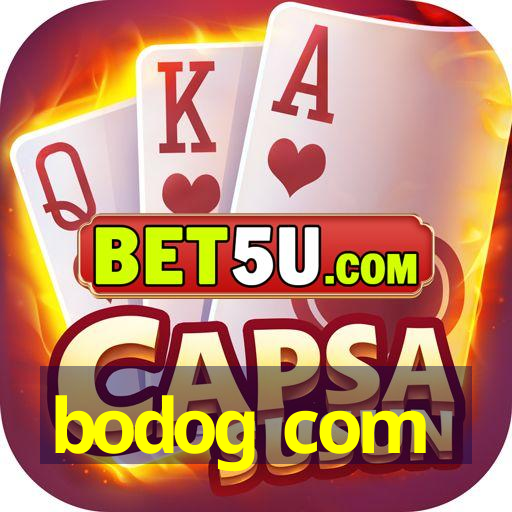 bodog com