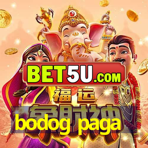 bodog paga