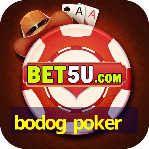 bodog poker