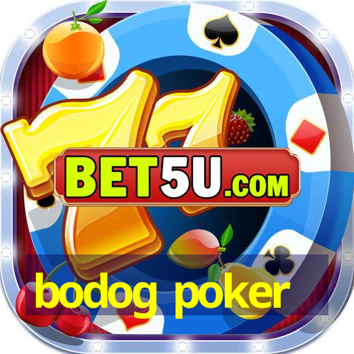 bodog poker