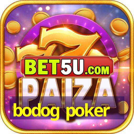 bodog poker