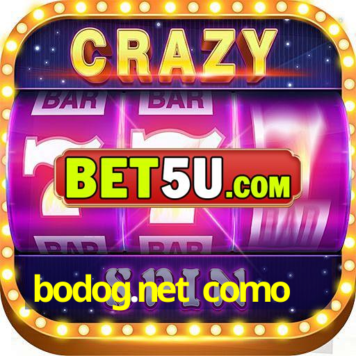 bodog.net como