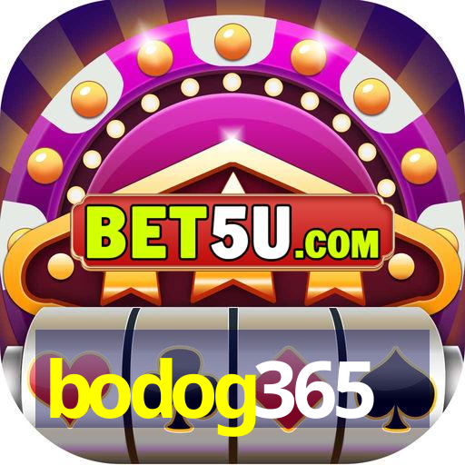 bodog365