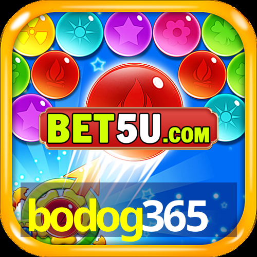 bodog365