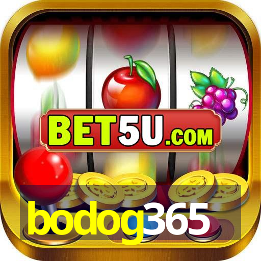 bodog365