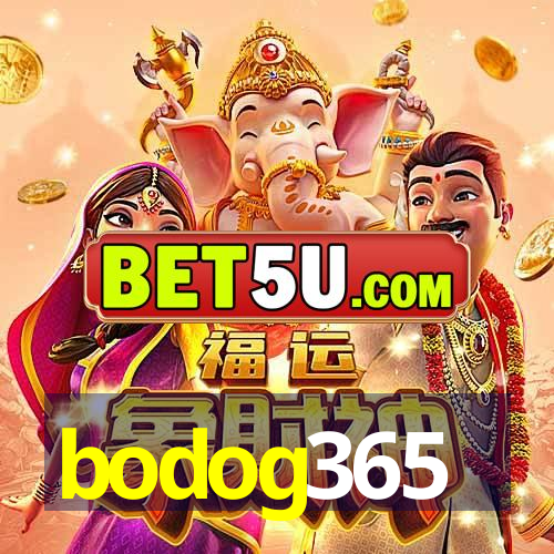 bodog365