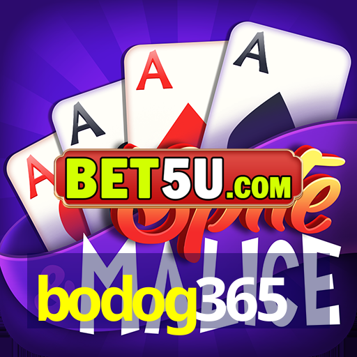 bodog365