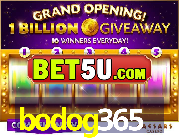 bodog365