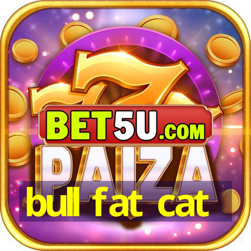 bull fat cat