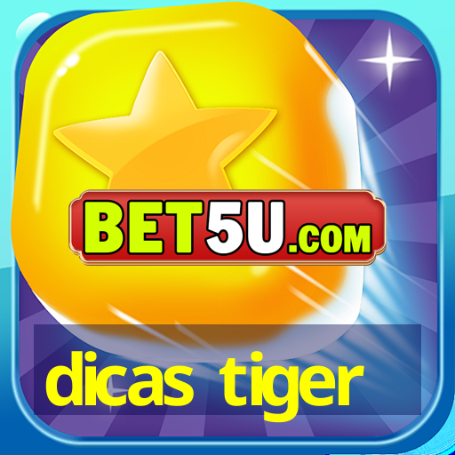 dicas tiger