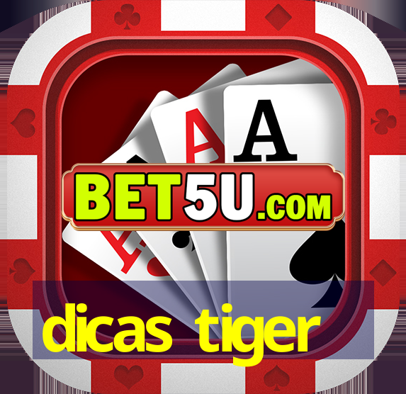 dicas tiger