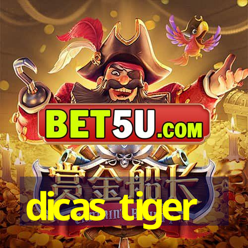 dicas tiger