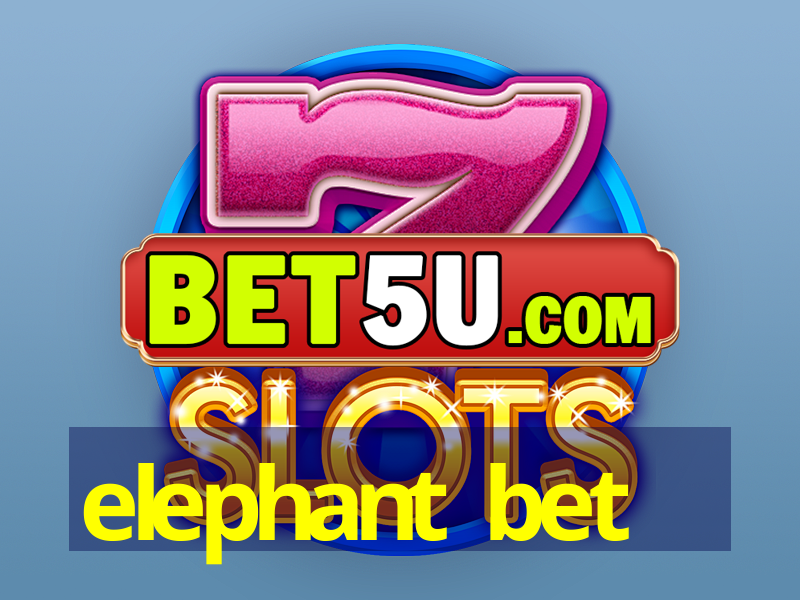 elephant bet