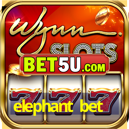 elephant bet