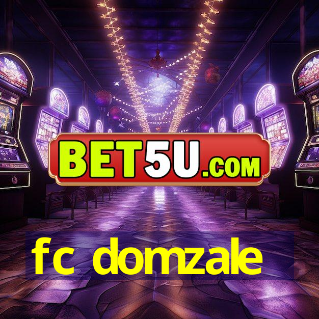 fc domzale