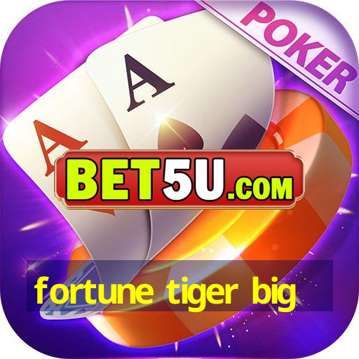 fortune tiger big