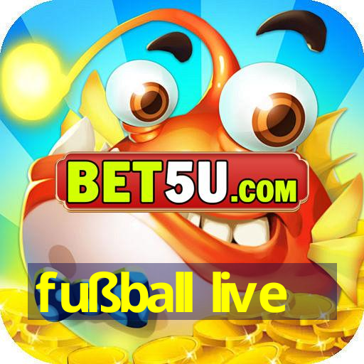 fußball live