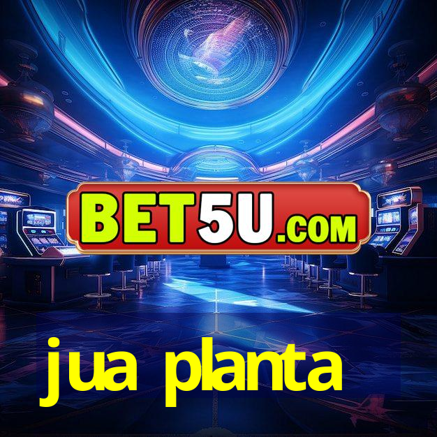 jua planta