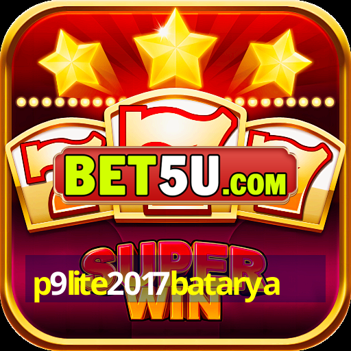 p9lite2017batarya