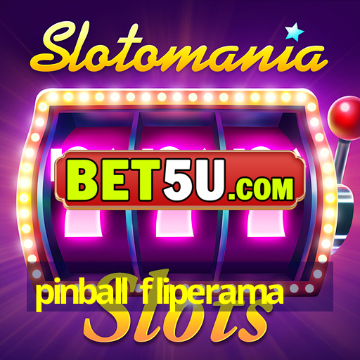 pinball fliperama