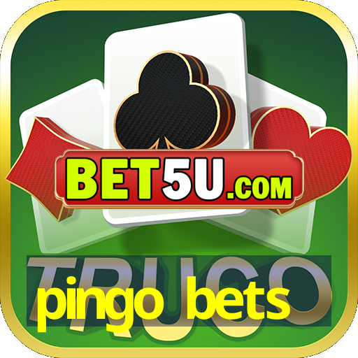 pingo bets