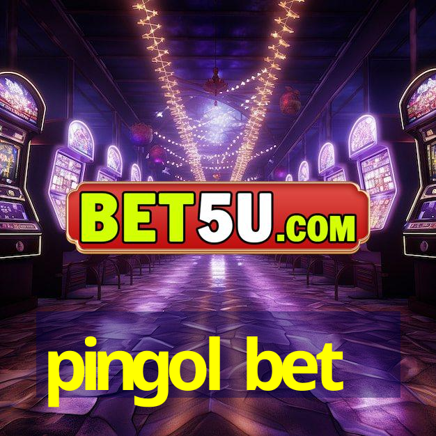 pingol bet