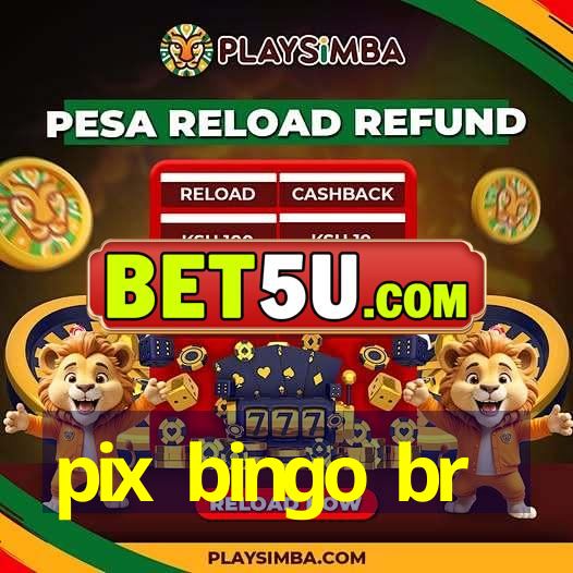 pix bingo br