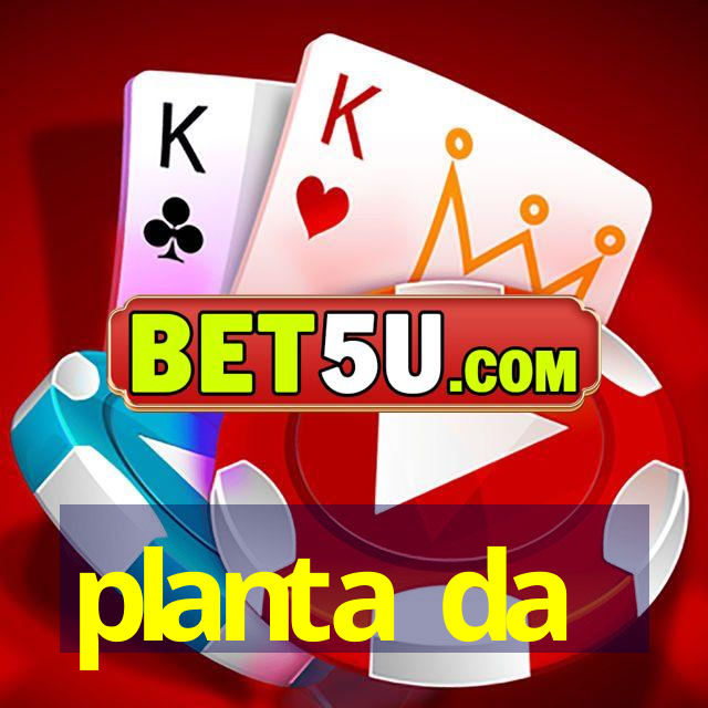 planta da