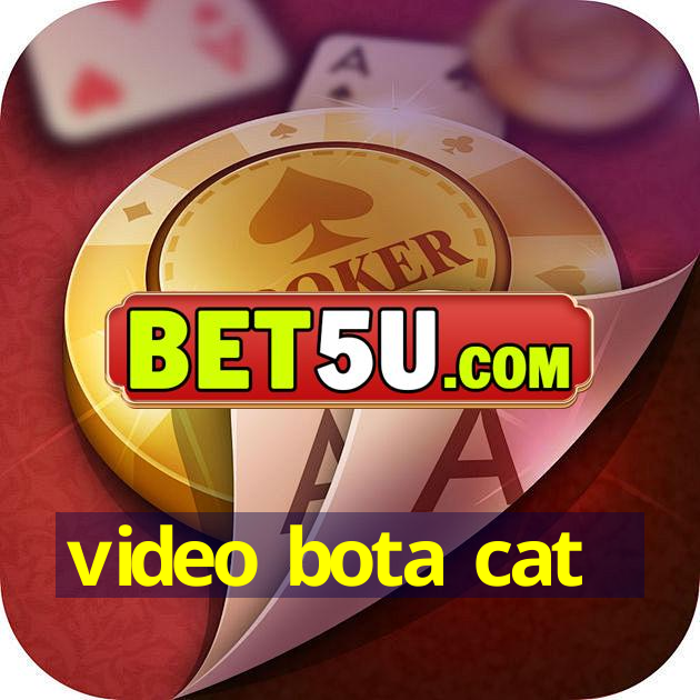 video bota cat